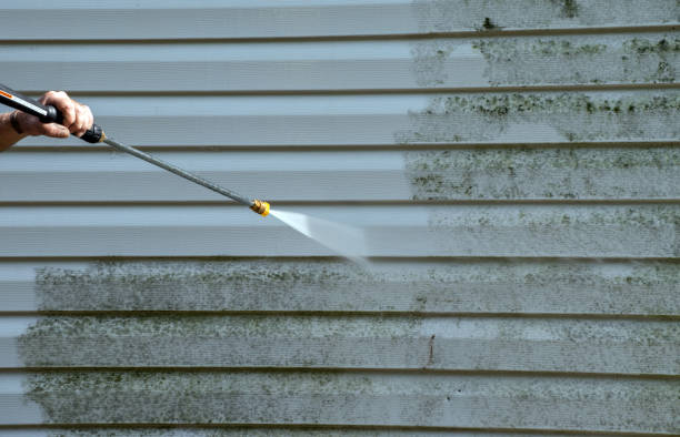 Best Commercial Pressure Washing  in Jenison, MI