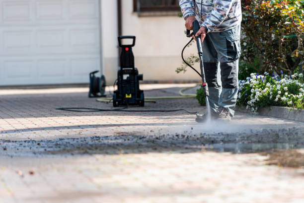 Best Exterior Home Cleaning  in Jenison, MI