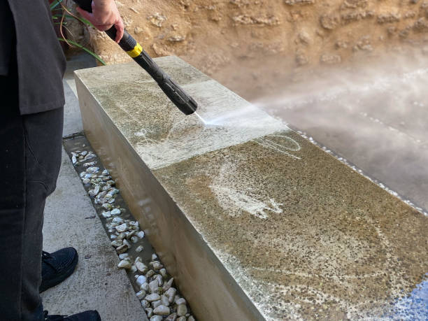 Best Roof Pressure Washing  in Jenison, MI